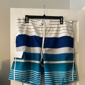 Striped Swimming Trunks